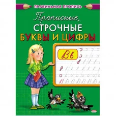 Пропись А5  Каллиграфическая ПРОПИСНЫЕ, СТРОЧНЫЕ БУКВЫ И ЦИФРЫ (ПР-2998) 8л., обл.-цветная мелов.бум ПР-2998