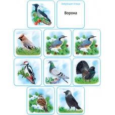 Набор обучающих карточек "Перелетные и зимующие птицы" Империя поздравлений 00021