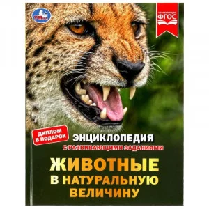 Животные в натуральную величину Энциклопедия с развивающими заданиями 50 стр Умка  978-5-506-07882-1
