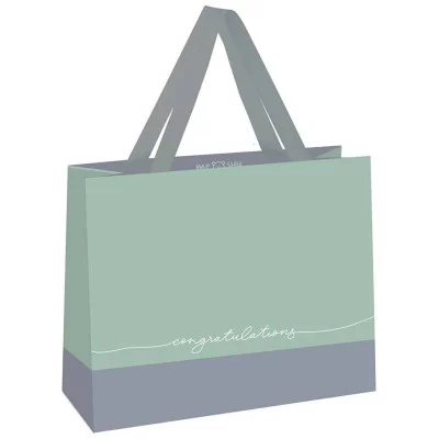 Пакет подарочный 1шт 23*18*10см MESHU "Duotone. Gray-mint", отд. фольгой, матовая ламинация 339817