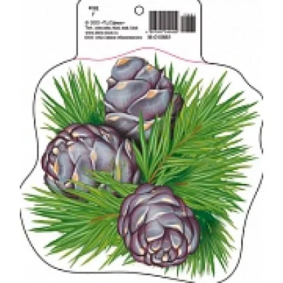 М-10661 Мини открытка Кедровые шишки (190х160 мм) / (о) Детский сад Сфера