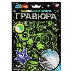 Гравюра, светящаяся в темноте совушки 18*24 см сокушки МУЛЬТИ АРТ 386909