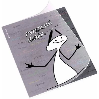 Тетрадь общая ученическая с пластиковой обложкой на скобе ErichKrause Чубрик, Русский язык, 48 листов, линейка 59468