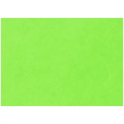 Картон цветной тонированный А4, Лилия Холдинг, 200г/м2, 1лист зелёный Лилия Холдинг 139703