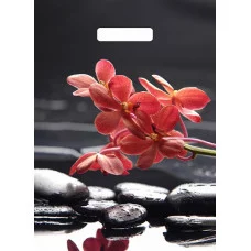 Пакет вырубной "Гармония" (40*31 см) н00170128