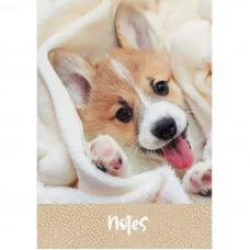 Книга для записей А5 80л Пушистый друг КанцЭксмо КЗ5803490