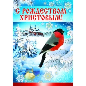 ПЛ-8212 плакат А3. С Рождеством Христовым! / А3 Сфера 4+1
