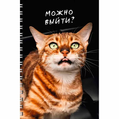 Тетрадь (студ., офис) А4 80л "Котики" КанцЭксмо ТС2Л4805211