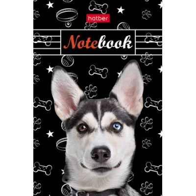 Блокнот А7 Собачки на склейке ХАТБЕР 48Б7В1к-17368