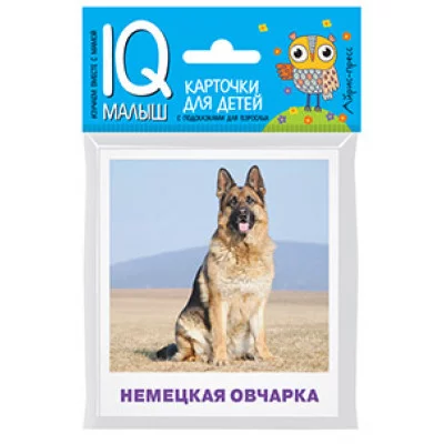 Умный малыш. Породы собак Набор карточек для детей. / IQ-малыш изд-во: Айрис авт:Малунова М.В.