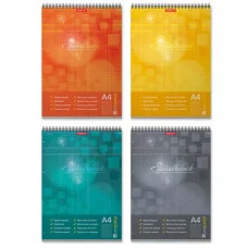 Блокнот на спирали ErichKrause® Spiralblock, А4, 80 листов, клетка, перфорация, микроперфорация, твердая подложка MIX-PACK 58430