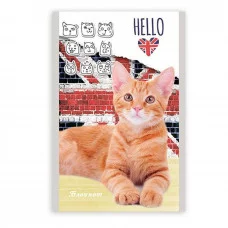 Блокнот 32л А7 "Котята и британский флаг" Б32-3130