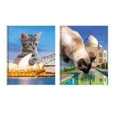 Тетрадь А5 60л "Коты в городе!" КанцЭксмо ТС608567