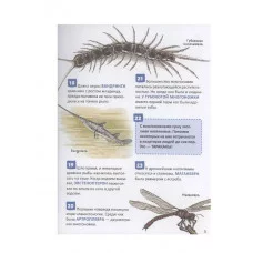 Динозавры. Энциклопедия российского школьника Росмэн Клюшник Л. В. 978-5-353-11006-4