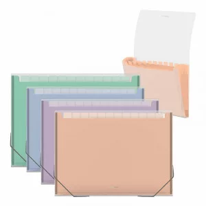 Папка-картотека пластиковая ErichKrause Matt Pastel Bloom, с 13 цветными отделениями, A4, прозрачный, ассорти 1шт 61214