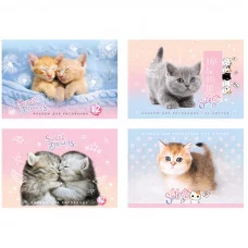 Альбом для рисования 12л А4 на скрепке BG Милый и пушистый 326451