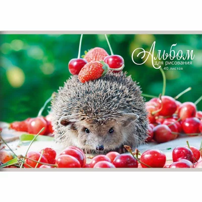 Альбом для рисования А4 40л "Блестящие и милые" КанцЭксмо АБ402565