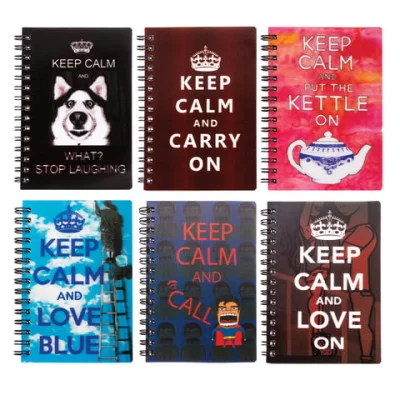 Блокнот МАЛЫЙ ФОРМАТ 93х135 мм А6, 50 л. склейка, пластиковая 3D обложка, без линовки, BRAUBERG, Стиль ассорти, 128093