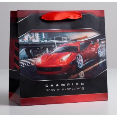 Пакет ламинированный квадратный «Champion», 22 × 22 × 11 см   5226238