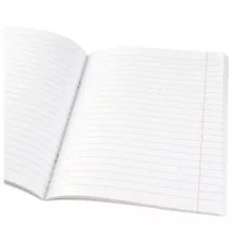 Тетрадь ЛИНИЯ 48л. РУССКИЙ ЯЗЫК «ПРО ХВОСТ» (48-2502) стандарт, тисн холст 48-2502