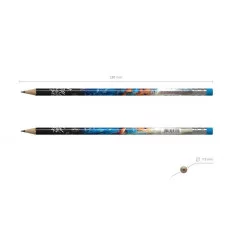 Чернографитный карандаш пластиковый ErichKrause Magic Pet круглый с ластиком НВ  62769