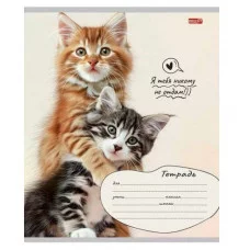 Тетрадь КЛЕТКА 12л. КОШАЧЬИ ПАРОЧКИ цвет. мелов.обл. 12-4281