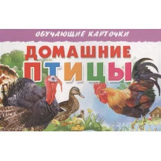 Обучающие карточки Карточки. Домашние птицы