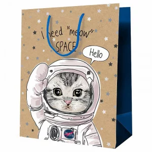 Пакет подарочный 1шт 11*14*6,5см MESHU "Космический кот", крафт 354826