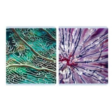 Тетрадь А5 96л "Красота в деталях" КанцЭксмо ТК968544