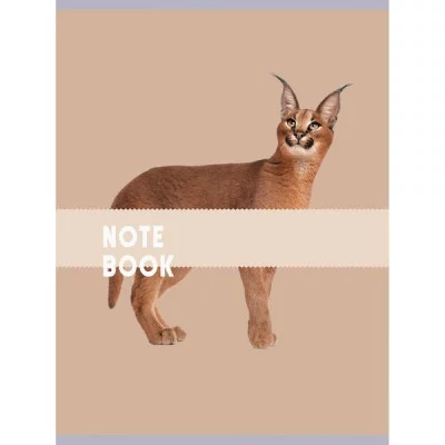 Тетрадь (студ., офис) А4 80л "Чудесный кот"  КанцЭксмо