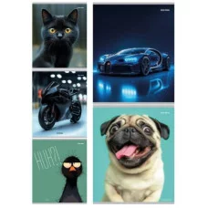 Тетрадь КЛЕТКА 48л. МИКС-4302 (48-4302) цветная мелованная обложка 48-4302