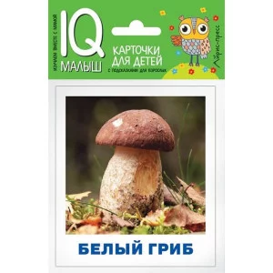 Умный малыш. Грибы наших лесов. Набор карточек для детей., изд.: Айрис, авт.: Тимофеева Т.В., серия.: Умный малыш ( IQ малыш ) 978-5-8112-7773-5