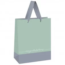 Пакет подарочный 1шт 18*23*10см MESHU "Duotone. Gray-mint", отд. фольгой, матовая ламинация 339784