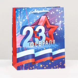 Пакет подарочный Звезда 23 февраля 18 х 22,3 10 см 9459359