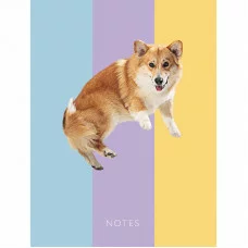 Книга для записей А6 64л Корги КанцЭксмо КЗ6643731