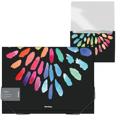 Папка 12 отделений Berlingo "Aqua" A4, 330*240*25мм, 700мкм, на резинке, c рисунком 299387