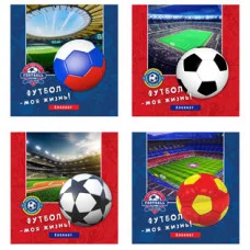 БЛОКНОТ А6 40л на цвет. спирали ФУТБОЛЬНЫЕ МЯЧИ Б40-1780