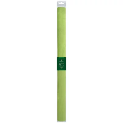 Бумага крепированная Greenwich Line, 50*250см, 32г/м2, светло-салатовая, в рулоне, пакет с европодвесом 311736