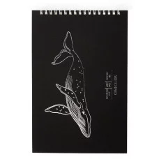 Скетчпад 246x167 20л "Whale" КанцЭксмо СПСФ520148
