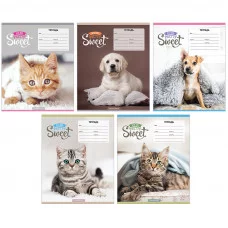Тетрадь 18л., линия ArtSpace "Питомцы. Pretty sweet" Спейс 245098