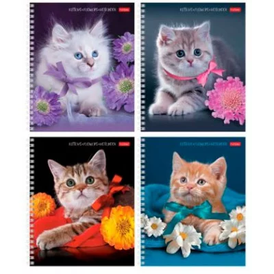 Тетрадь 80л А5ф клетка 65г/кв.м на гребне серия -На мягких лапках- ТК8394