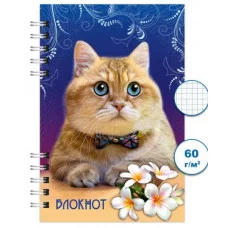 Блокнот спираль 120л А6 Кошки 3 Бг 120/10-3 Бг120/10-3
