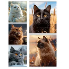 Тетрадь КЛЕТКА 96л. ПРЕКРАСНЫЕ КОТЫ (96-8851) (цв.мел.обл), софт-тач 96-8851