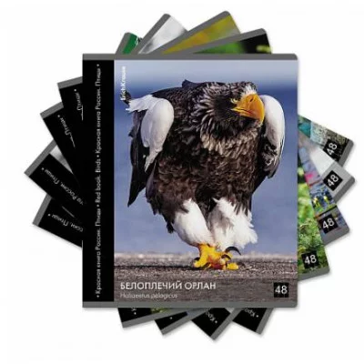 Тетрадь общая ученическая ErichKrause Энциклопедия Красная книга России. Птицы 48 листов клетка глянцевая ламинация 59968