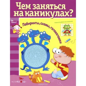 Чем заняться на каникулах? Лабиринты, схемы, головоломки. Вып.5 Стрекоза Чем заняться на каникулах? 978-5-9951-3043-7