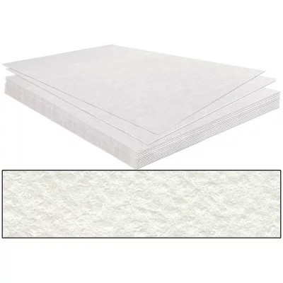 Бумага рисовальная акварельная А3 Лилия Холдинг 297*420 200г/м2 296163