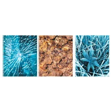 Тетрадь А5 96л "Текстуры" КанцЭксмо ТСФ968548