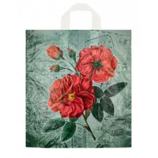 12027-ПеР38*42+6(50мкм)Портофино(ПНД) (ИН)/25/500