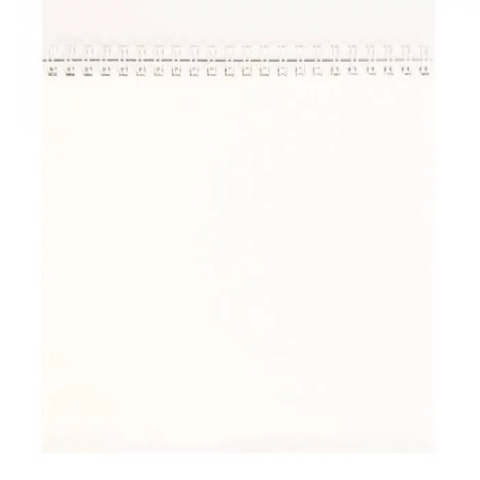 Скетчбук 48л. КОТ НА ДОРОГЕ 48-1275 гребень мяг.обл. б/о с жесткой подложкой 100гм2 190х190 мм