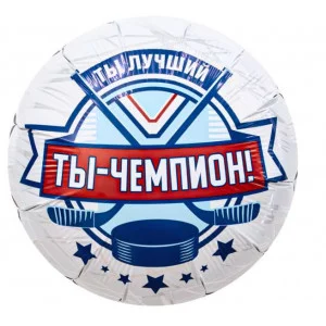 Шар (18\'\'/46 см) Круг, Хоккей, Ты Чемпион!, 1 шт. 941698